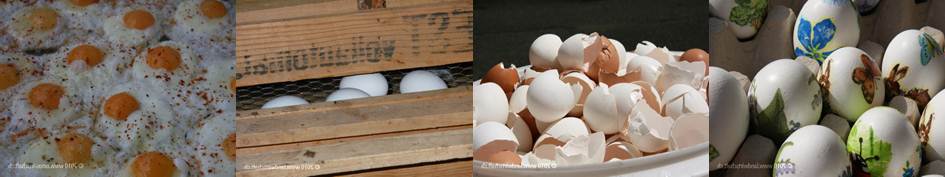 Bilderserie Einfuhr Eier und Eiprodukte